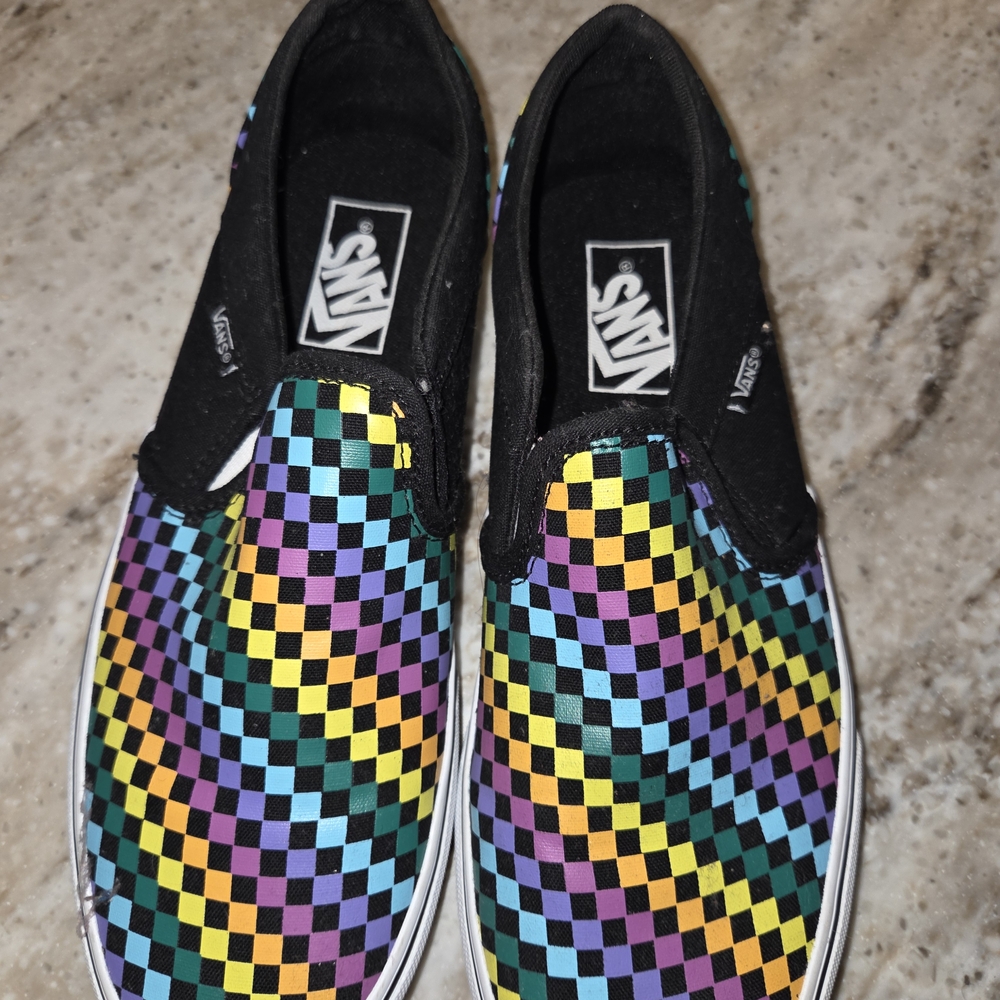 Vans Multicolor Checkered Slip-On Shoes
